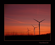Windmolens bij zonsopgang